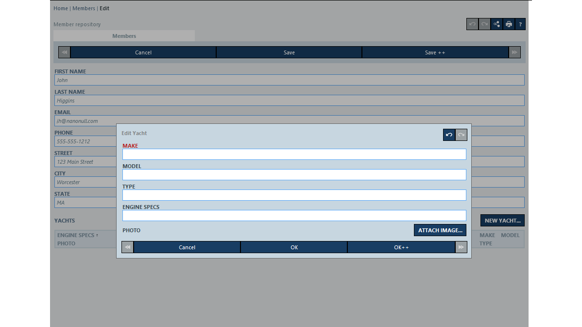 Auto generated data entry form