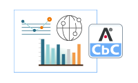 CbCR-Excel-Vorlage