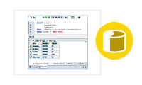 Herramienta de bases de datos DatabaseSpy