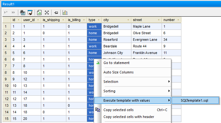 Altova Databasespy 2023 Enterprise Edition 2435