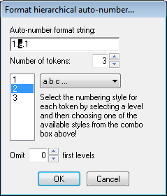 AutoNumHierarchicalFormat